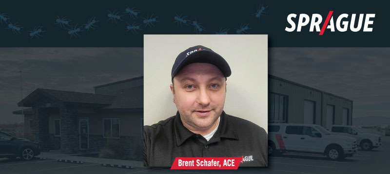 Brent Schafer, ACE Promoted to Pasco, WA Branch Manager